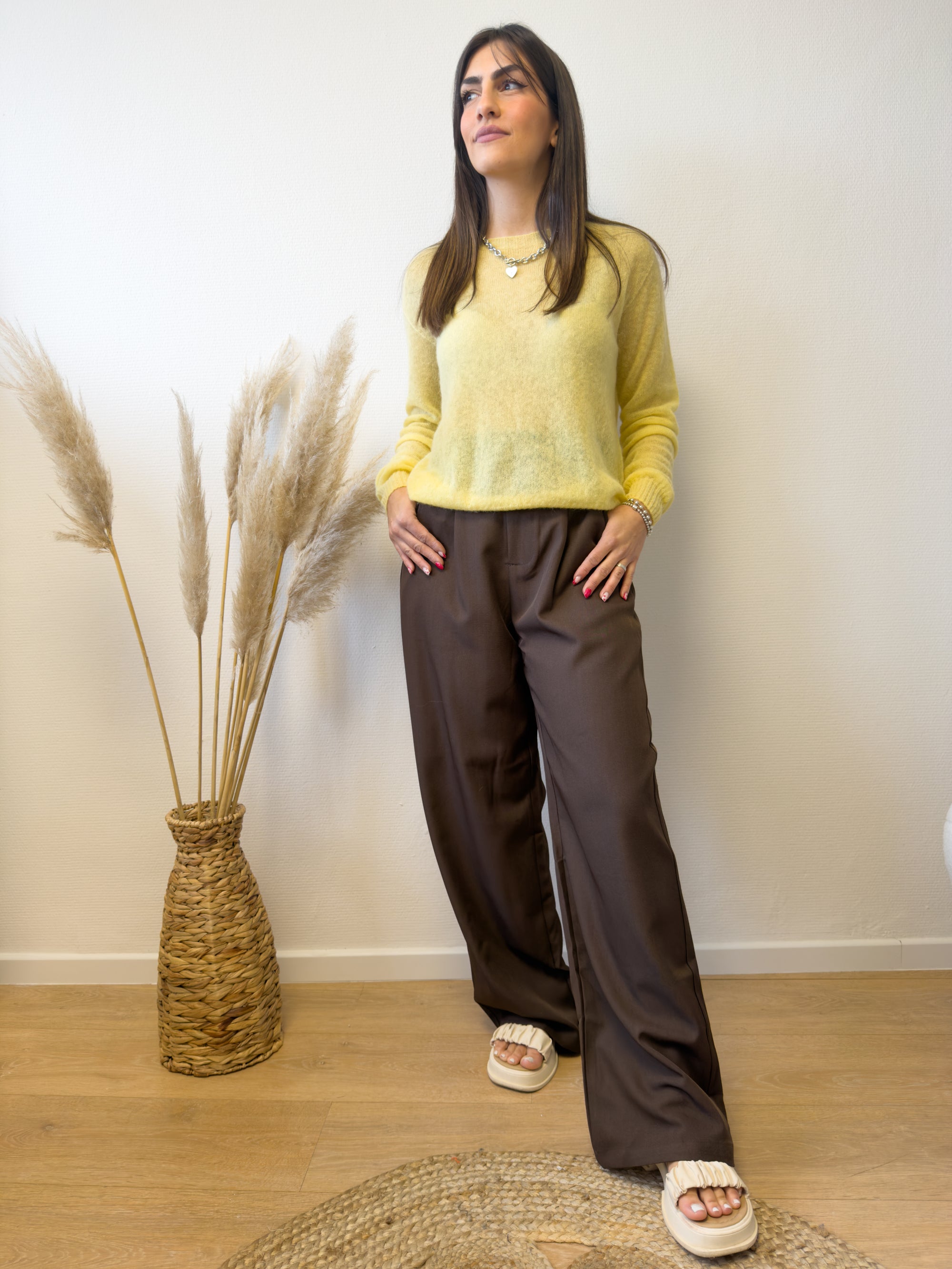 Pantalon MANHATTAN brun classique taille haute